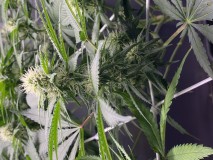 63575F40-AB15-4C5B-95FF-E1B941B6F449