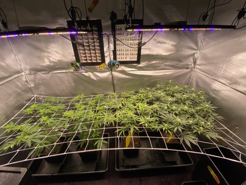 43041710-A816-40D1-A55B-9EF196CF5FC8