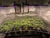 43041710-A816-40D1-A55B-9EF196CF5FC8