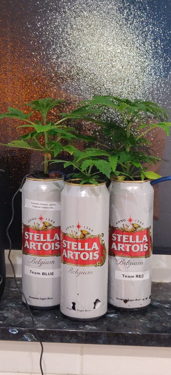 9a007e64-7c89-44ec-a025-67882c7e2cdb