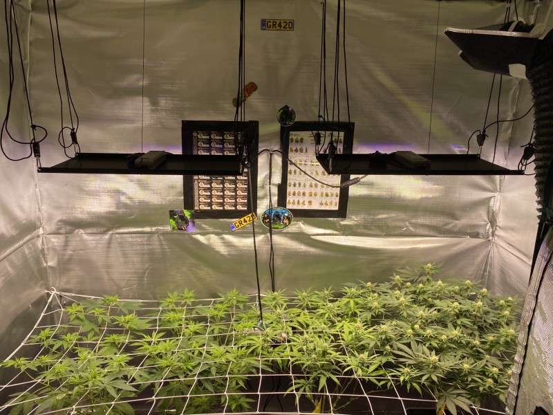 090BA754-77B8-4CED-9E72-21EAC6A53224