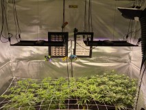 090BA754-77B8-4CED-9E72-21EAC6A53224