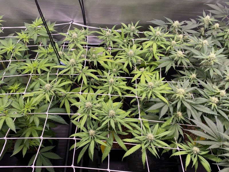 9611B225-AD4D-4CAD-9680-F9C159ED6CE6