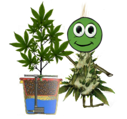 Webp.net-resizeimage (11)