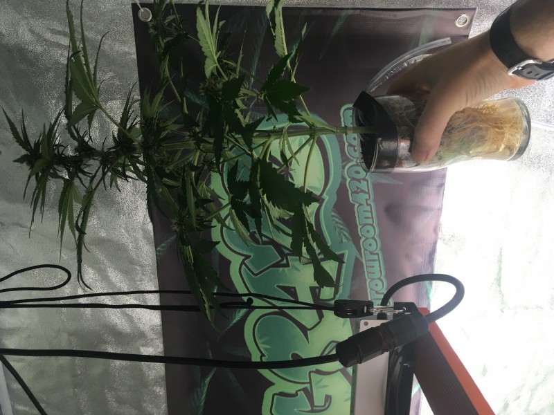 3614EDB2-715D-4D0D-B80A-BCA5013CF13A