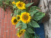 94274F97-96BF-4494-A56C-F0D909FE3D77