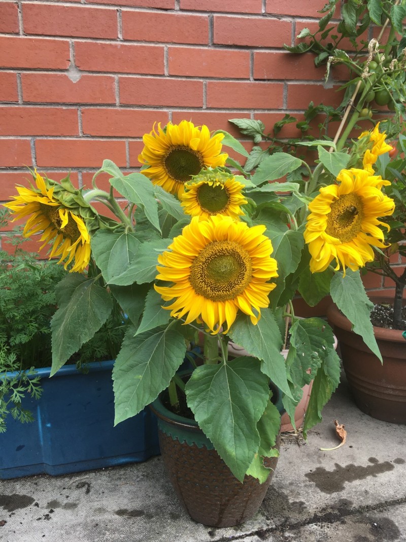 80439855-586E-43B6-9611-62E909293A93