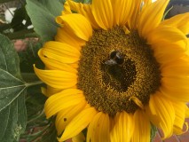 E8D4A111-56F2-46CA-81EA-4B762C7C52F2