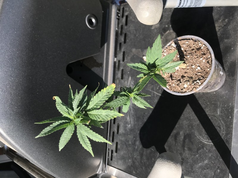 51A9F8C6-57AC-469E-B165-462020663D9E