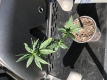 51A9F8C6-57AC-469E-B165-462020663D9E