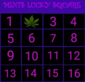 PicsArt_08-10-08.35.33