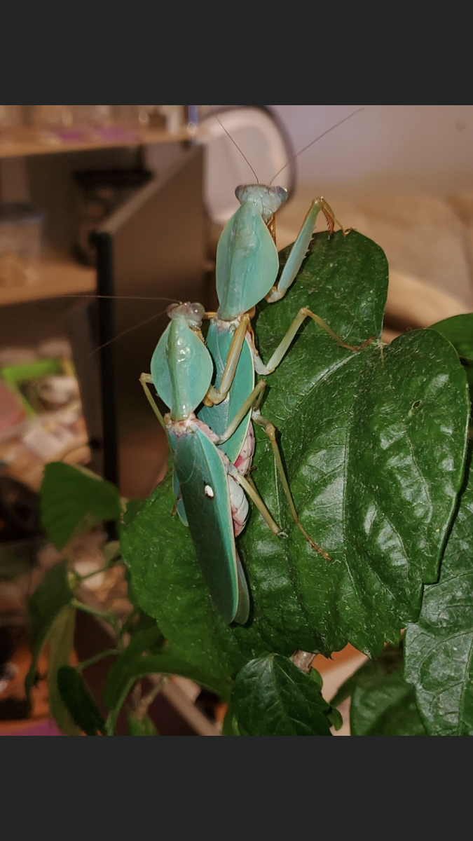 C3023B8B-E031-445E-AD86-27B30513C1E1