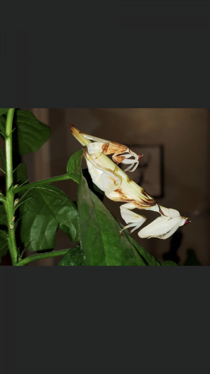 19FEE796-3D84-4B76-91AF-FE56CFAB80E3