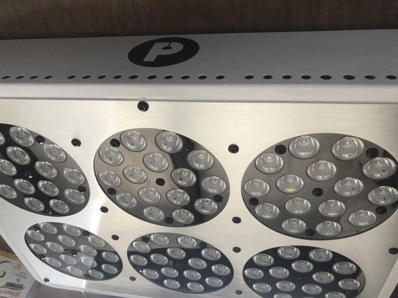 093DF6D0-77B7-482B-A987-508341815704