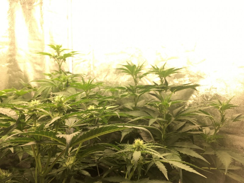 D093A0FF-37BE-4506-9036-E948BC4F2FD4