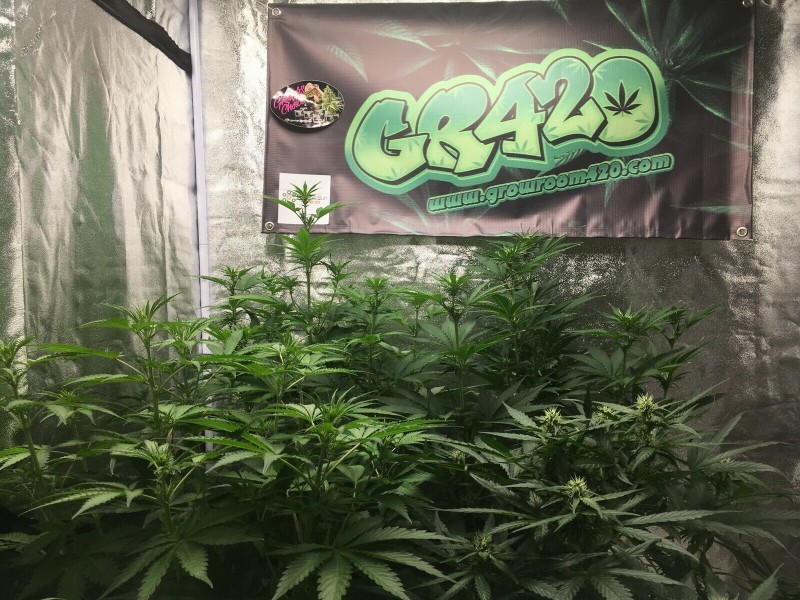 AB2C3CE5-6E3F-4D69-AAE4-A53D685B203E