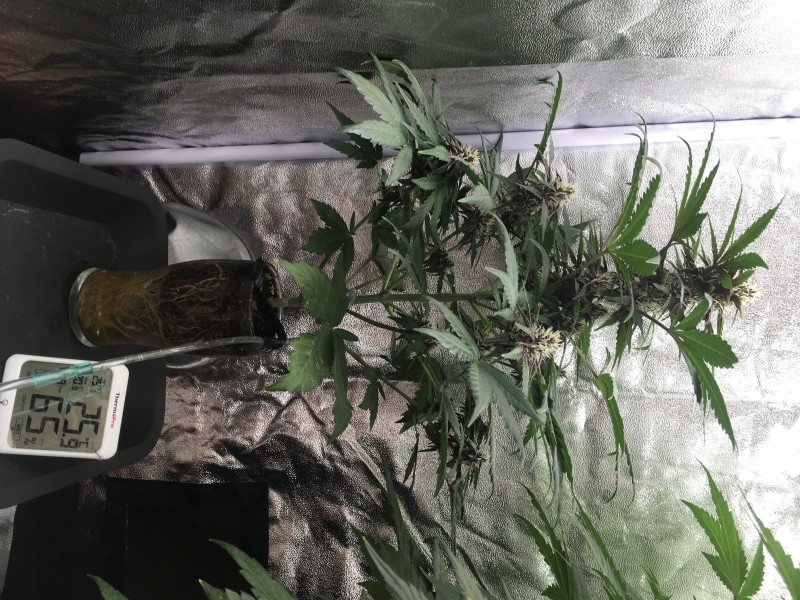 67DC4BAD-4D17-468C-8830-20D7D329A767