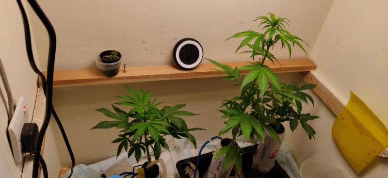 af3cacd7-c5cd-4a31-915d-1f49e7e2c0e7