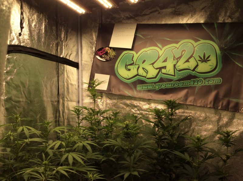 D680F66A-C25C-431F-9E22-E2F0A969E3F9