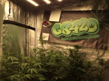 D680F66A-C25C-431F-9E22-E2F0A969E3F9