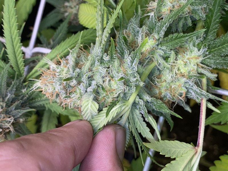 77F9D09B-50B0-44D2-B39A-1277D65670E7