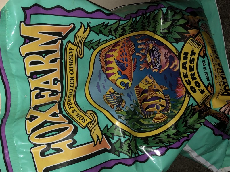 58923DFB-EC46-4CAD-9A7F-8C66635A6B9C