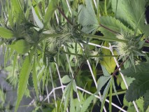 B49E6B70-D83F-49B1-B5EF-EB37DD7BBB9E