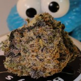 A4ACE9DB-44DD-47AD-89A0-0D1DE7D53036