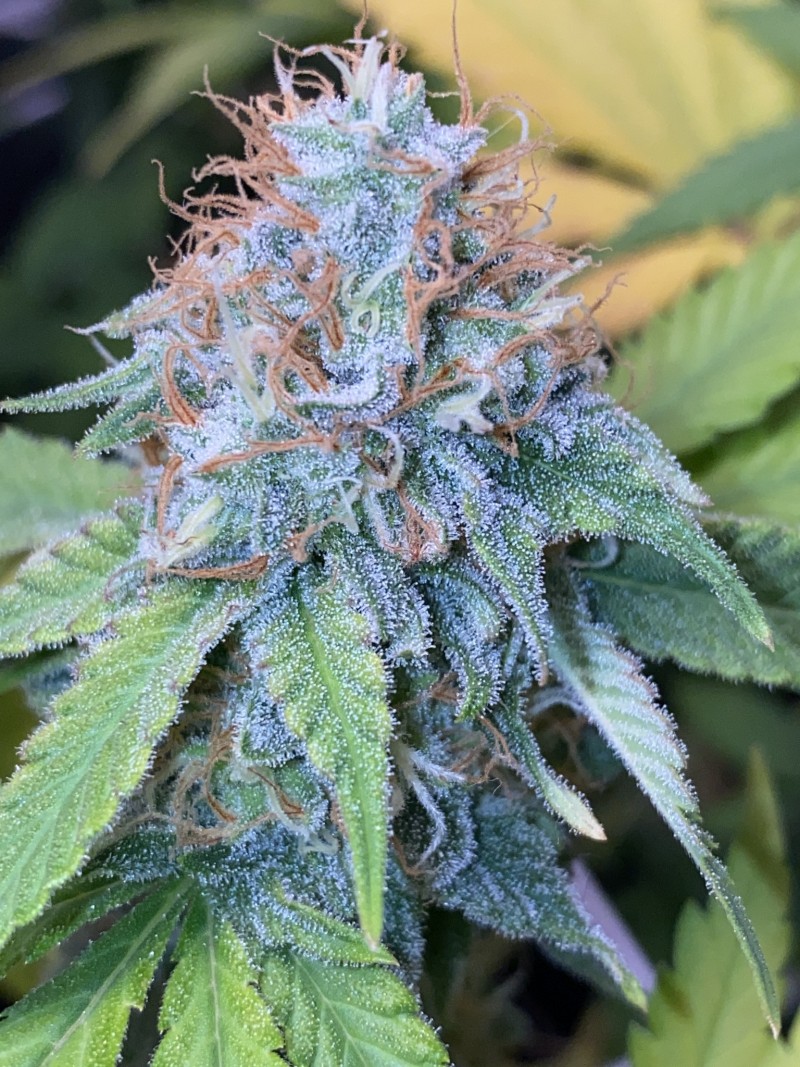 B9FDF761-F1CD-4B8C-8633-FA39A6EEFA60