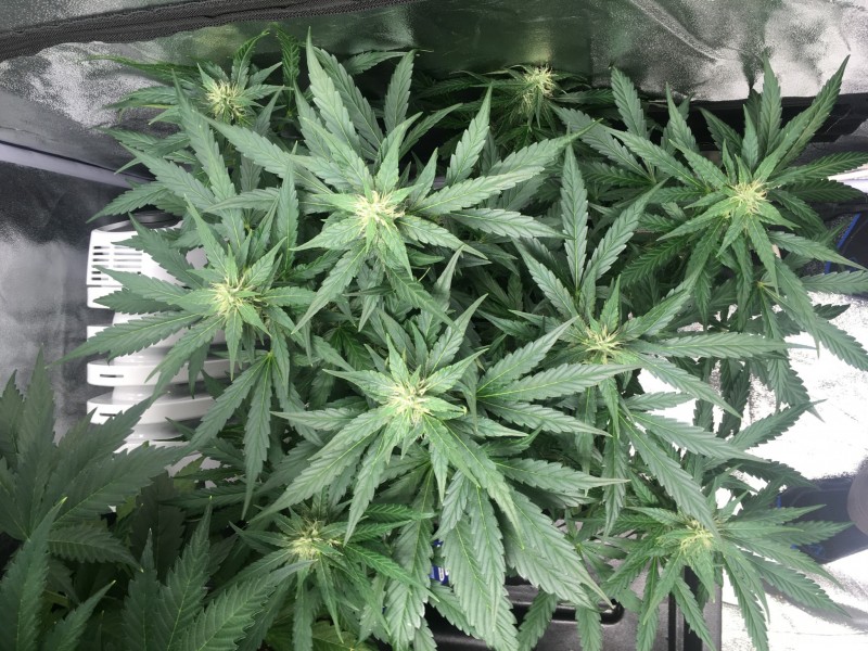 F0ABEB3E-9CE5-4A6A-B34E-108C6A2BD797