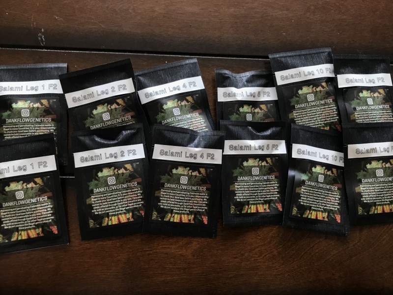 2EDDB2D4-4792-462C-A568-3E9286034636