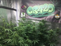 F0AC235A-7982-4421-8322-A477FA6B6B08