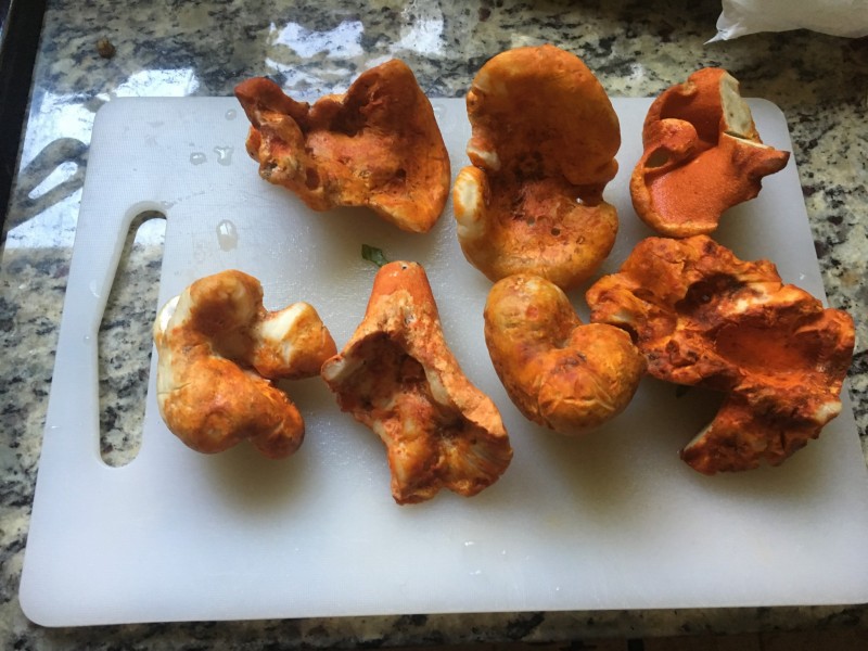 99053A96-DC18-4102-8B41-3D3ED931A0A1