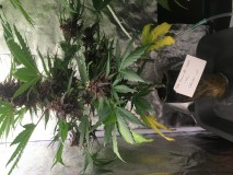 D80B84D0-4B55-4C3A-B4F2-D9808A4ABF6D