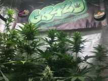 0A0B3694-53C8-42B0-96ED-C78B70F150BC