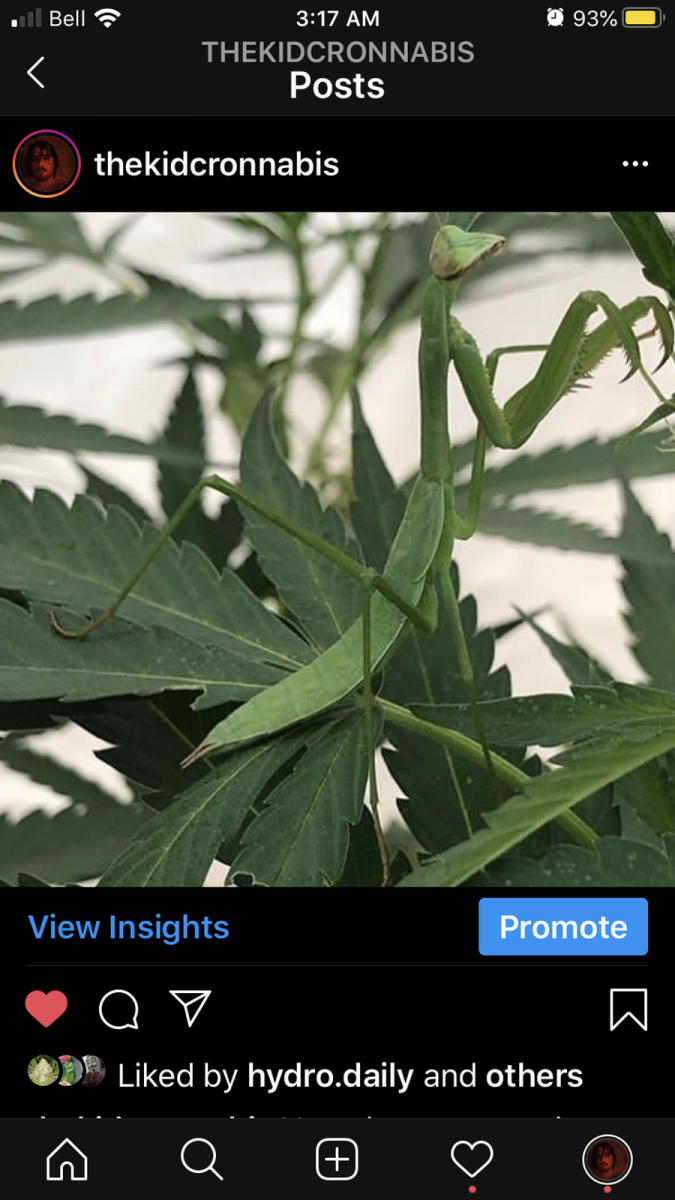 8E2F9B69-9D01-4ACB-A226-08909DDBEE81