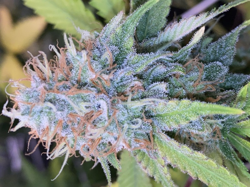 822C678B-13CA-46FB-822B-463480C65748