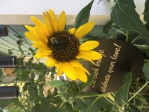 CF64D3D2-8A1D-4D44-BB5D-E56F92B29290