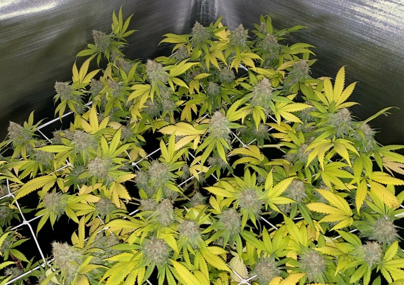 DD346378-3A9A-484F-B169-5B2EAEC13181