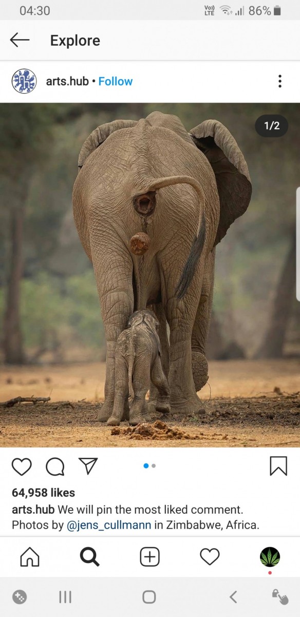 Screenshot_20200902-043028_Instagram