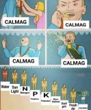 calmag