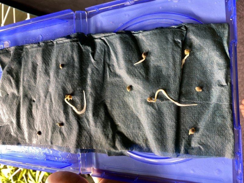 F6686571-9E00-4531-A9A5-5FA4C1CA711A