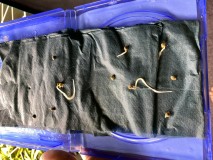 F6686571-9E00-4531-A9A5-5FA4C1CA711A