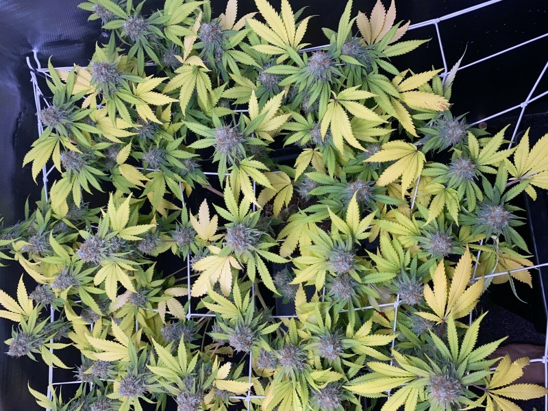 F994BF06-4A8C-4880-840C-442BD82E1BB3