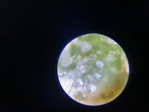 EFFC86C8-0BE4-42F4-A5FC-2B380E9505BB