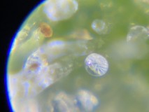 58673678-FF91-47B7-A47C-AB81F796217B