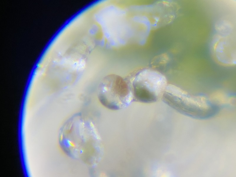 040E8363-7C7D-42E4-9D46-E8B07B5A8AB9