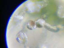 040E8363-7C7D-42E4-9D46-E8B07B5A8AB9