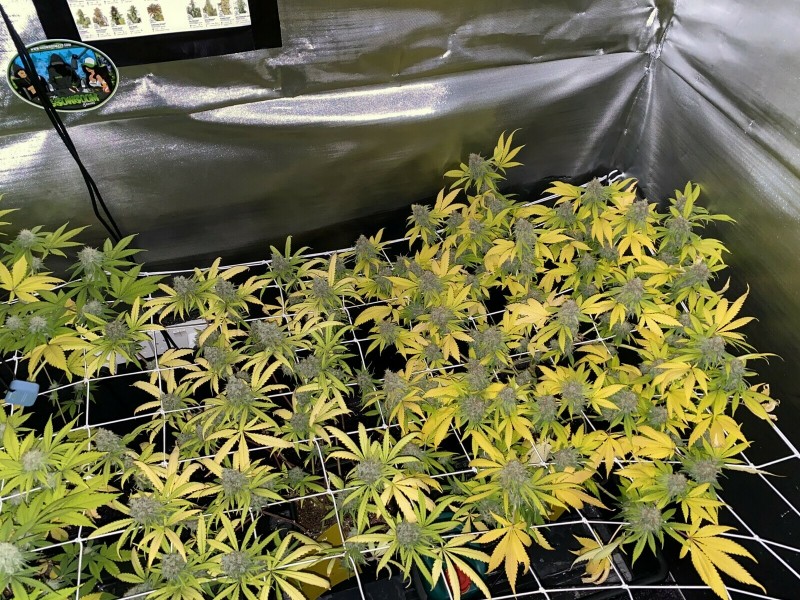 28313D44-B910-447C-B0EB-10CFBD9B3323