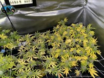 28313D44-B910-447C-B0EB-10CFBD9B3323